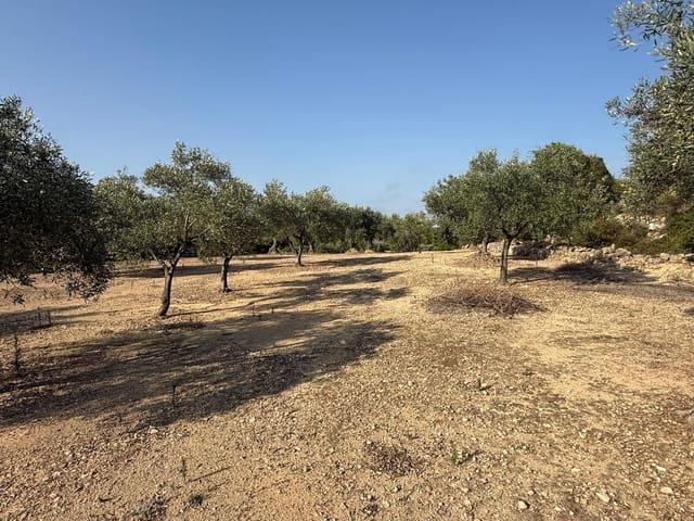 Casa Rural en venta en el Baix Maestrat, Valencia