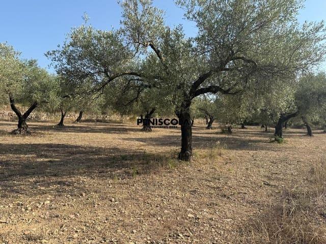 Casa Rural en venta en el Baix Maestrat, Valencia
