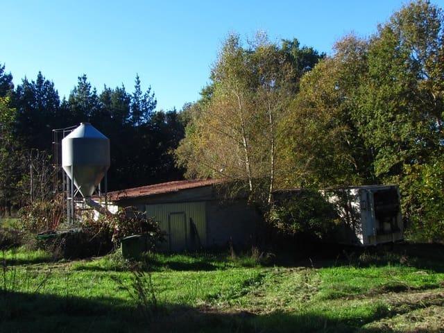 Casa Rural en venta en Chantada, Galicia
