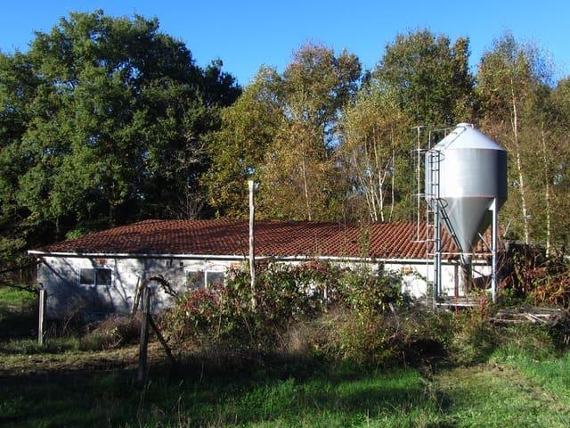 Casa Rural en venta en Chantada, Galicia