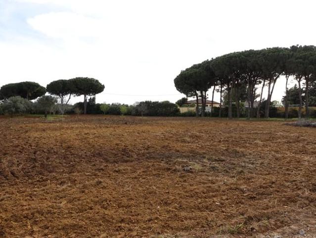 Quinta en venta en Chiclana De La Frontera