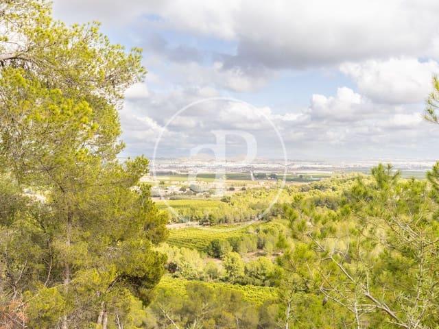 Terreno en venta en La Hoya de Buñol, Valencia