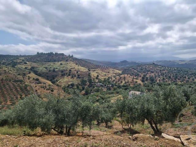 Casa Rural en venta en Barriada los Ventorros, La Axarquía