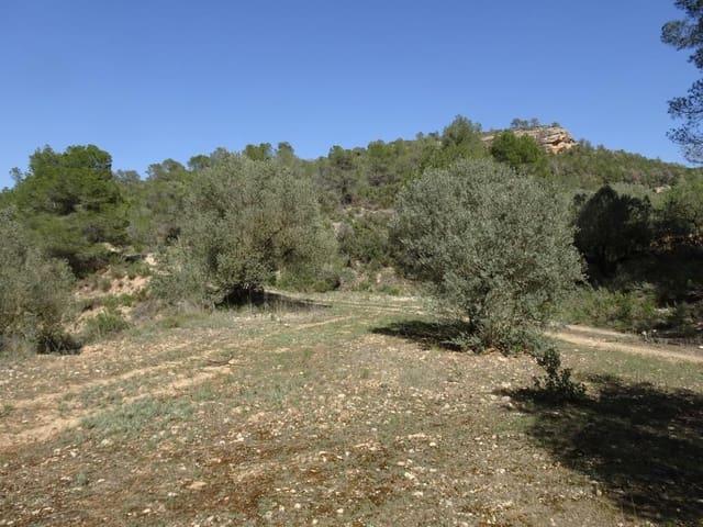 Casa Rural en venta en Corbera D'ebre, Poble Vell de Corbera d'Ebre