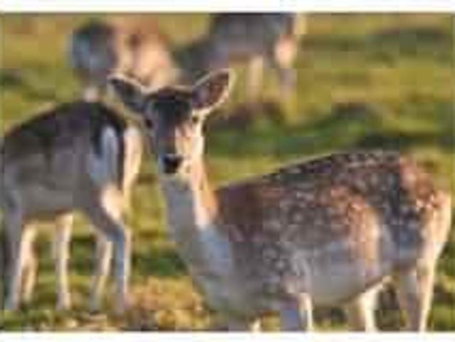 Casa Rural en venta en Corral De Calatrava, Castilla-La Mancha