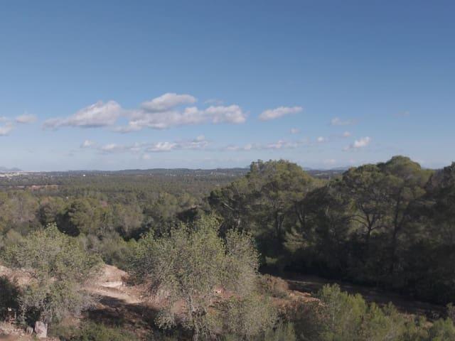 Casa Rural en venta en Pla de Mallorca, Baleares