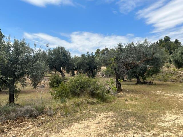 Casa Rural en venta en Matarraña / Matarranya, Cretas