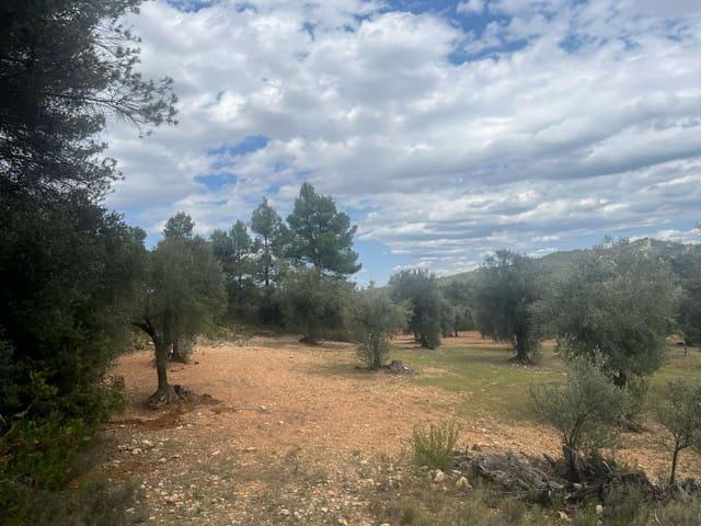 Casa Rural en venta en Matarraña / Matarranya, Cretas
