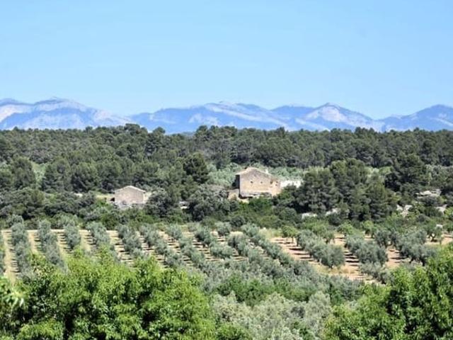 Casa Rural en venta en Cretas, Teruel
