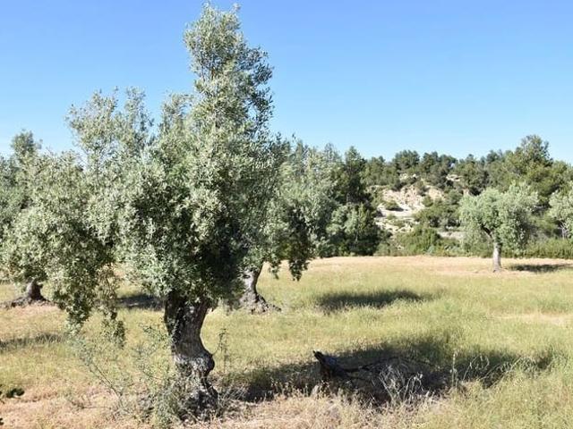 Casa Rural en venta en Matarraña / Matarranya, Cretas
