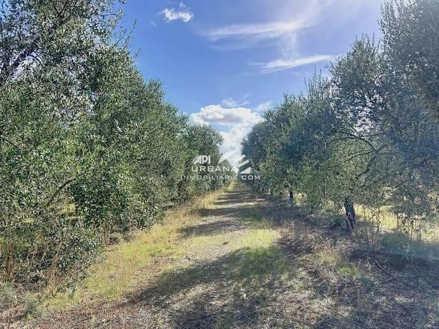 Casa Rural en venta en Écija, Andalucía