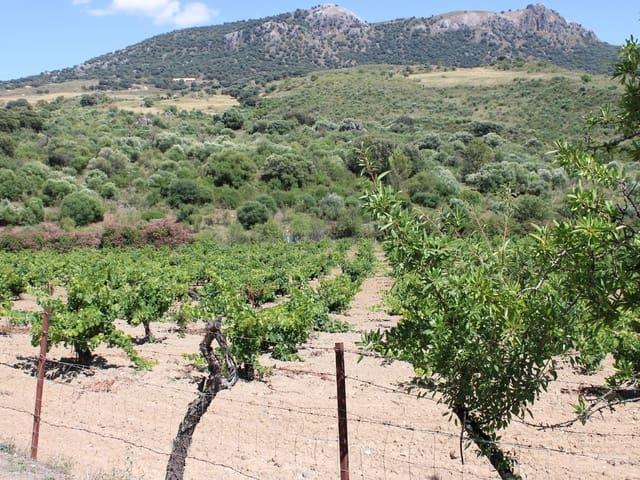 Casa Rural en venta en Sierra de Cádiz, Andalucía