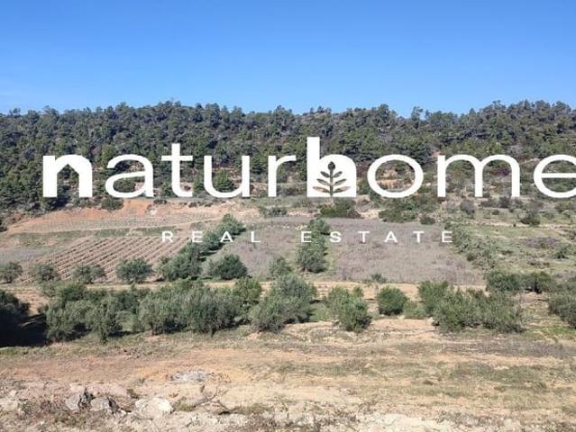 Casa Rural en venta en Priorat, Catalunya