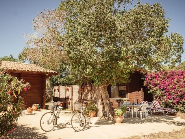 Casa Rural en venta en El Palmar, La Janda