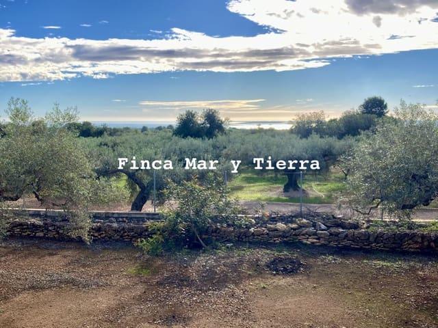 Casa Rural en venta en Baix Ebre, Catalunya
