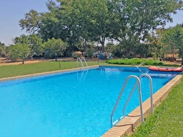 Casa Rural en venta en El Viso Del Alcor, Andalucía