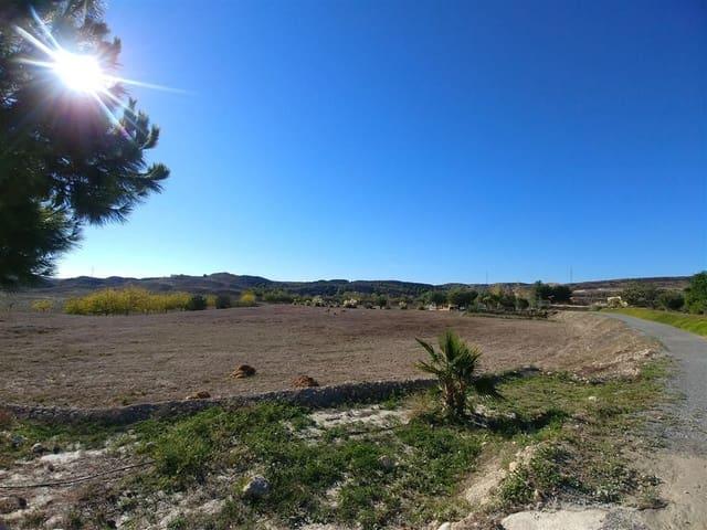Casa Rural en venta en Elche, el Raval de Santa Teresa