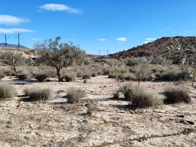 Casa Rural en venta en El Progreso, el Vinalopó Mitjà / El Vinalopó Medio
