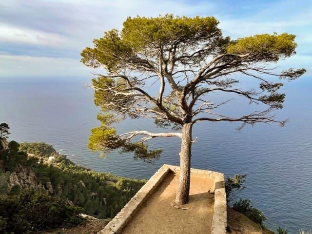 Casa Rural en venta en Serra de Tramuntana, Baleares