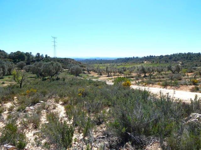 Casa Rural en venta en Bajo Aragón-Caspe / Baix Aragó-Casp, Aragón