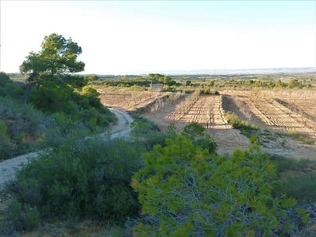 Casa Rural en venta en Fabara / Favara, Zaragoza