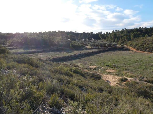 Casa Rural en venta en Bajo Aragón-Caspe / Baix Aragó-Casp, Aragón