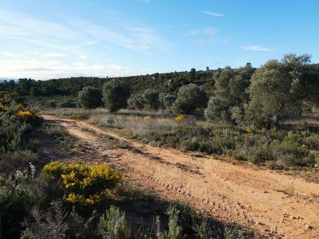 Casa Rural en venta en Bajo Aragón-Caspe / Baix Aragó-Casp, Aragón