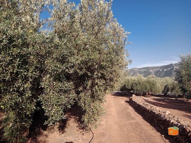 Casa Rural en venta en Montsià, Catalunya