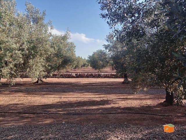 Casa Rural en venta en Freginals, Tarragona