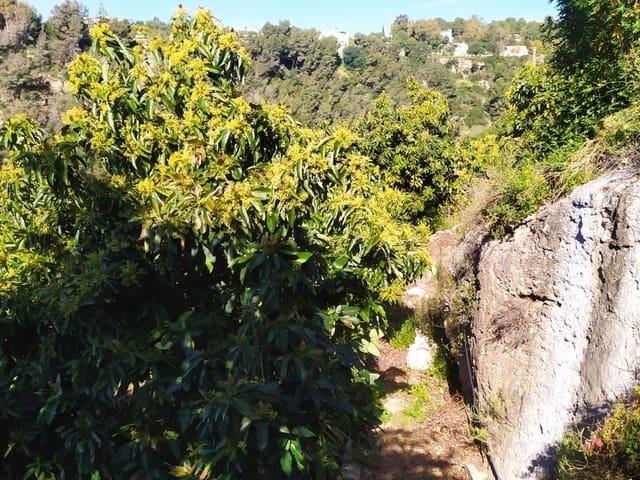 Casa Rural en venta en Frigiliana