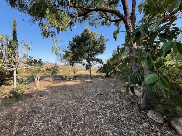 Casa Rural en venta en Fuente Alamo, Campo de Cartagena y Mar Menor