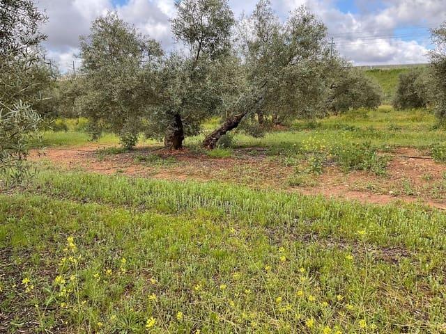 Casa Rural en venta en Fuente De Piedra, Barriada de la Realenga