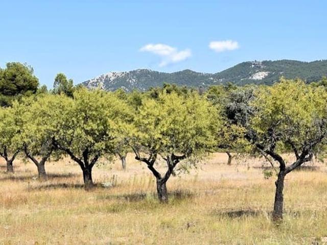 Casa Rural en venta en Matarraña / Matarranya, Fuentespalda