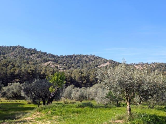 Casa Rural en venta en Terra Alta, Catalunya