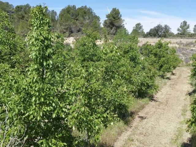 Casa Rural en venta en Terra Alta, Catalunya