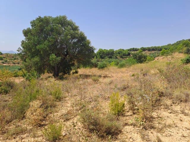 Casa Rural en venta en Terra Alta, Catalunya