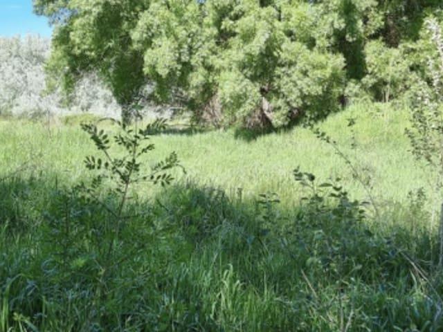 Casa Rural en venta en Ribera d'Ebre, Catalunya