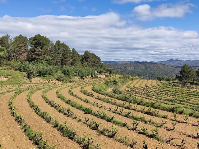 Casa Rural en venta en Ribera d'Ebre, Catalunya