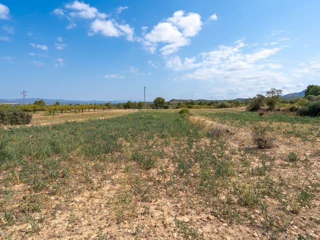 Casa Rural en venta en Ribera d'Ebre, Catalunya