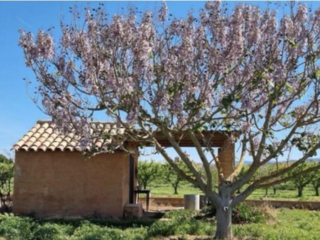 Casa Rural en venta en Ribera d'Ebre, Catalunya