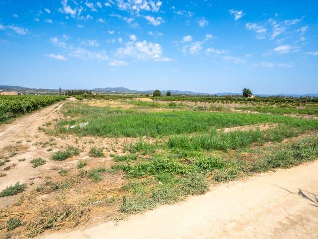 Casa Rural en venta en Ribera d'Ebre, Catalunya