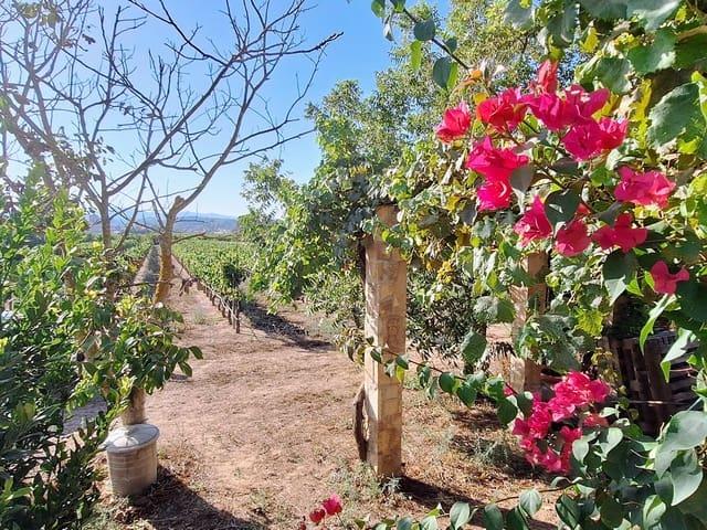 Casa Rural en venta en Ribera d'Ebre, Catalunya