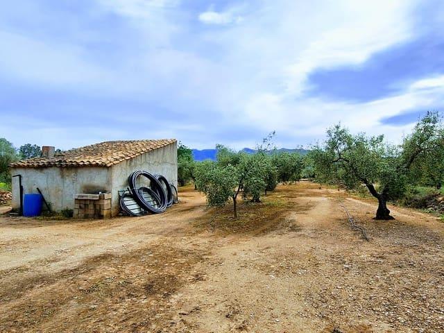 Casa Rural en venta en Ribera d'Ebre, Catalunya