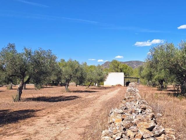 Casa Rural en venta en Ginestar