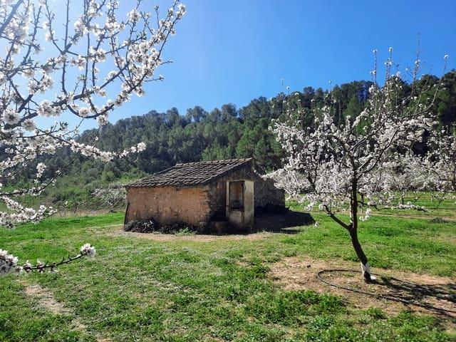 Casa Rural en venta en Ginestar
