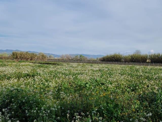 Casa Rural en venta en Ribera d'Ebre, Catalunya