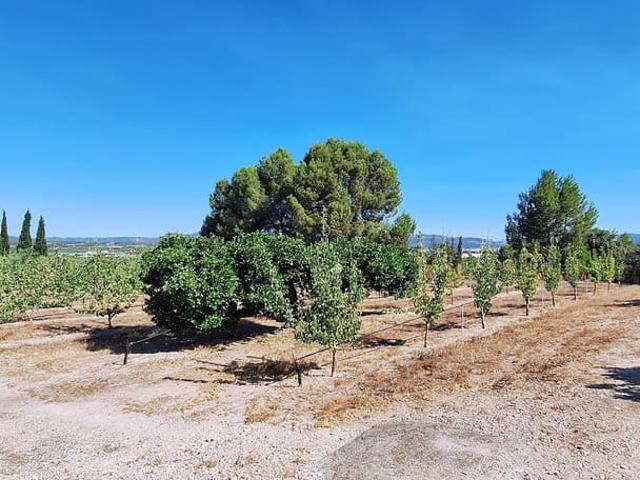 Casa Rural en venta en Ribera d'Ebre, Catalunya