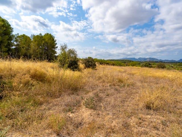 Casa Rural en venta en Ribera d'Ebre, Catalunya