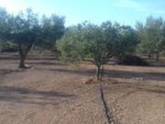 Casa Rural en venta en Ribera d'Ebre, Catalunya