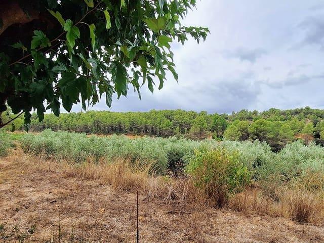 Casa Rural en venta en Ribera d'Ebre, Catalunya